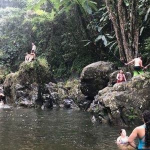 Meet your Posher, Terri